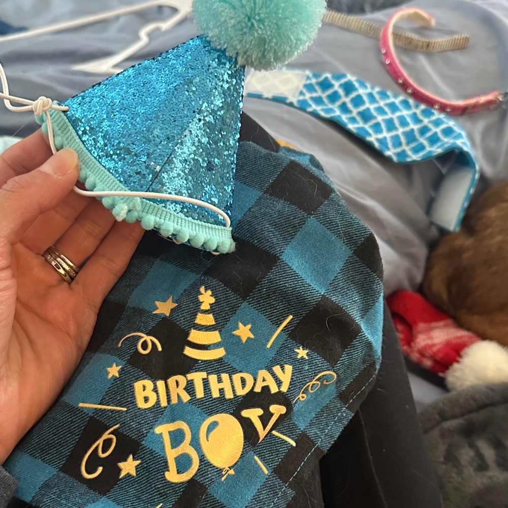 Birthday Boy Plaid Bandana